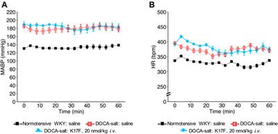 LIT01-196, a Metabolically Stable Apelin-17 Analog, Normalizes Blood Pressure in Hypertensive DOCA-Salt Rats via a NO Synthase-dependent Mechanism